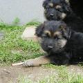 imgp3264_0