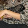 img_1257-custom