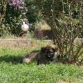 SONY DSC