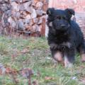 img_2572-custom