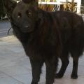20Nera170302_074358