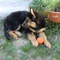 3 mois (4)