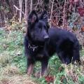 Kim 6 mois fiona