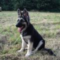 jaycko-4-mois-024