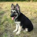 jaycko-4-mois-026