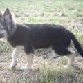 jaycko-4-mois-027