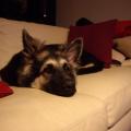 jaycko-4-mois-040