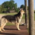 thumbnail_IMG_0463
