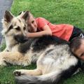 thumbnail_IMG_0492