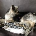 thumbnail_IMG_0896