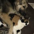 thumbnail_IMG_1557