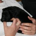 img_1192_edited-custom