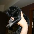 img_1208_edited-custom
