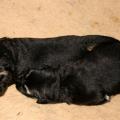 img_1216_edited-custom