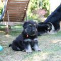 img_1766-custom