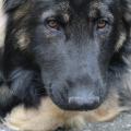IMG_7628[1]