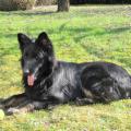 thumbnail_IMG_1042