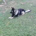 Screenshot_20190922_134555_com.android.gallery3d