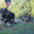 IMG_2113a