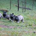 IMG_2144a
