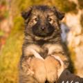 WG Photographies 2016-22