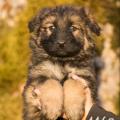 WG Photographies 2016-6