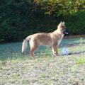 SAM_2793
