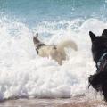 FB_IMG_1491770249205
