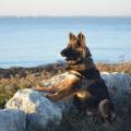 DSC_0113 (2)