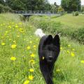 IMG_20160620_122638_1(2)