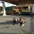 IMG_20170114_152222