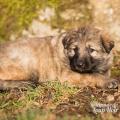 WG Photographies 2016-24