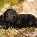 WG Photographies 2016-8
