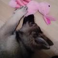 IMG_20161104_202258
