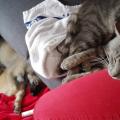 IMG_20161108_131059