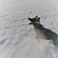 IMG_20170106_105047_1 (2)