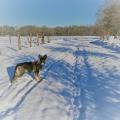 IMG_20170106_113926 (2)