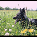 IMG_20180508_211522
