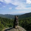 Meylynn June 2016