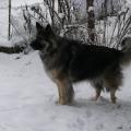 Maïana