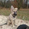 Ragnar 2