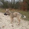 Ragnar 3