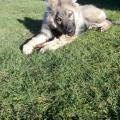 thumbnail_IMG_20161202_132610
