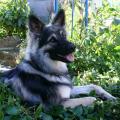 thumbnail_P1160026