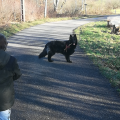 IMG_20200115_142835