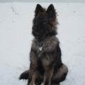 SAM_0718(1)