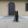 SAM_0769