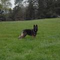 SAM_0776