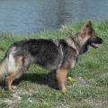 SAM_0798