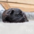 IMG_6710